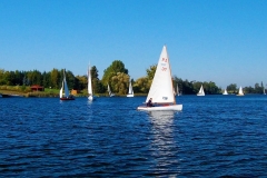 foto Marek Królikowski