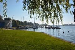 foto Paweł Mikołajczak