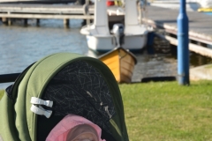 foto Paweł Mikołajczak