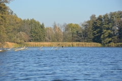 foto Paweł Mikołajczak