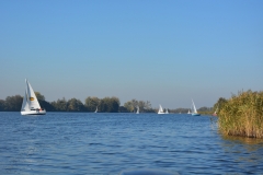 foto Paweł Mikołajczak