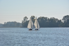 foto Paweł Mikołajczak