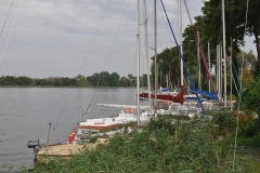 175-DSC_1016