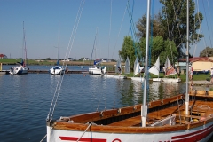 foto Marek Królikowski