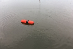 foto Małgorzata Wójcik