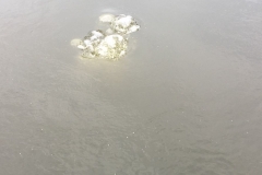 foto Małgorzata Wójcik