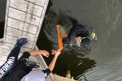 foto Małgorzata Wójcik