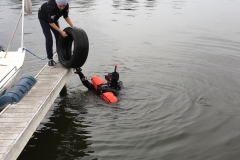 foto Małgorzata Wójcik