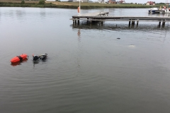 foto Małgorzata Wójcik