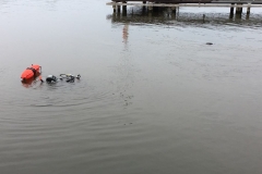 foto Małgorzata Wójcik