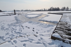 foto Tomasz Kubski