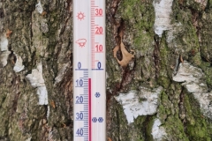 foto Tomasz Kubski
